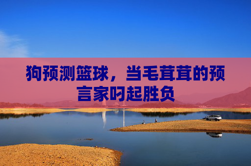 狗预测篮球，当毛茸茸的预言家叼起胜负