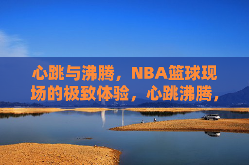 心跳与沸腾，NBA篮球现场的极致体验，心跳沸腾，NBA现场极致体验