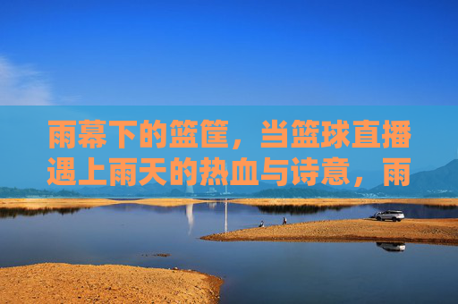 雨幕下的篮筐,当篮球直播遇上雨天的热血与诗意,雨幕篮筐,直播间的热血诗行