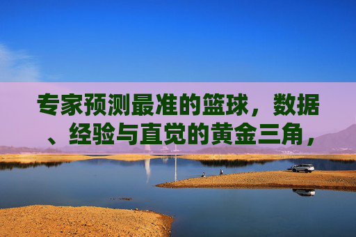 专家预测最准的篮球，数据、经验与直觉的黄金三角，篮球专家预测，数据、经验与直觉的黄金三角