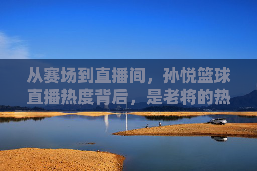 从赛场到直播间，孙悦篮球直播热度背后，是老将的热爱与球迷的青春记忆，孙悦，从赛场到直播间，老将热爱点亮球迷青春记忆