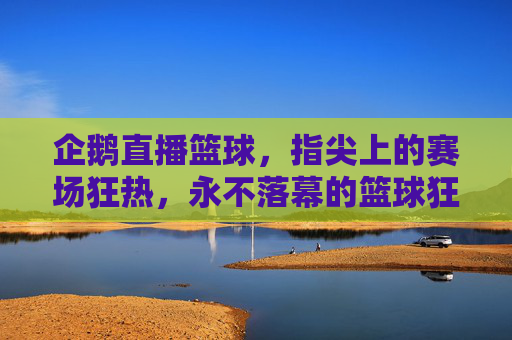 企鹅直播篮球，指尖上的赛场狂热，永不落幕的篮球狂欢，企鹅直播篮球，指尖狂热，永不落幕的篮球狂欢