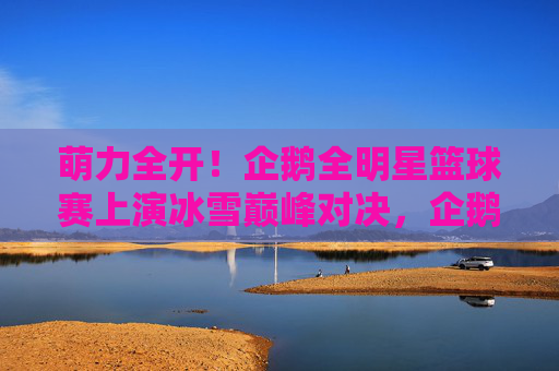 萌力全开！企鹅全明星篮球赛上演冰雪巅峰对决，企鹅全明星冰雪篮球赛萌力巅峰对决