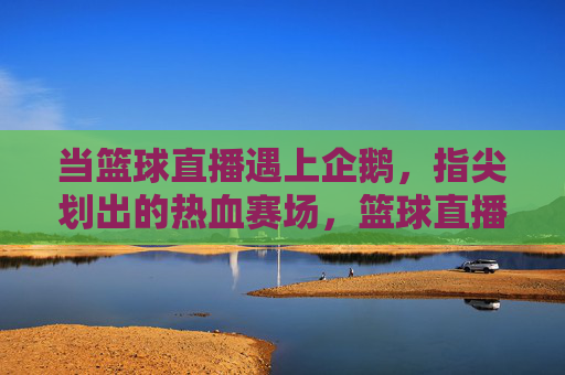 当篮球直播遇上企鹅，指尖划出的热血赛场，篮球直播遇上企鹅，指尖划出的热血赛场
