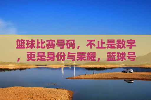 篮球比赛号码，不止是数字，更是身份与荣耀，篮球号码，数字背后的身份与荣光