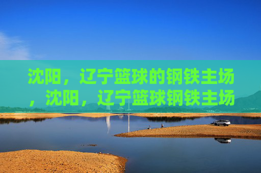 沈阳，辽宁篮球的钢铁主场，沈阳，辽宁篮球钢铁主场