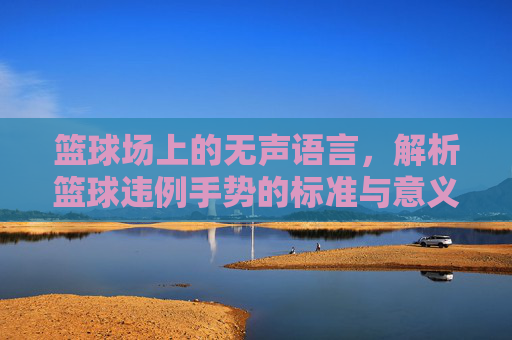 篮球场上的无声语言，解析篮球违例手势的标准与意义，篮球违例手势，无声语言的标准与意义