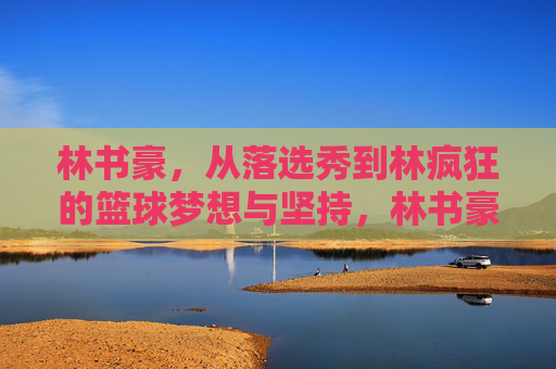 林书豪，从落选秀到林疯狂的篮球梦想与坚持，林书豪，从落选秀到林疯狂的篮球梦想与坚持