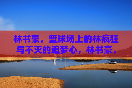 林书豪，篮球场上的林疯狂与不灭的追梦心，林书豪，篮球场上的林疯狂与不灭追梦心