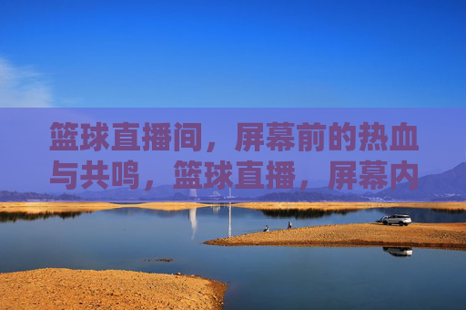 篮球直播间，屏幕前的热血与共鸣，篮球直播，屏幕内外的热血共鸣