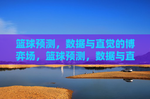 篮球预测，数据与直觉的博弈场，篮球预测，数据与直觉的博弈场