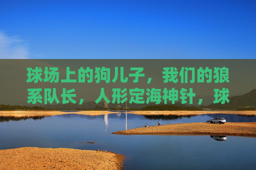 球场上的狗儿子,我们的狼系队长,人形定海神针,球场狼系队长,人形定海神针