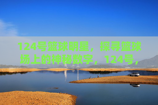 124号篮球明星,探寻篮球场上的神秘数字,124号,篮球场上的神秘数字