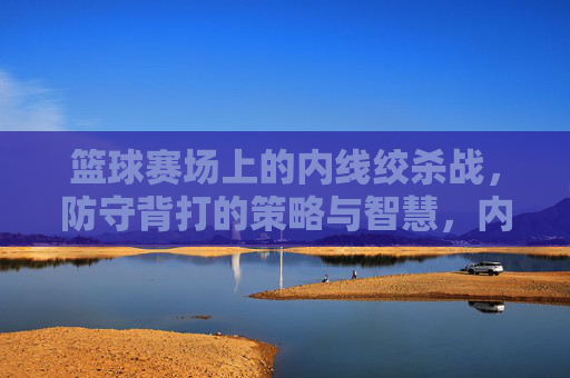 篮球赛场上的内线绞杀战,防守背打的策略与智慧,内线绞杀战,防守背打的策略与智慧