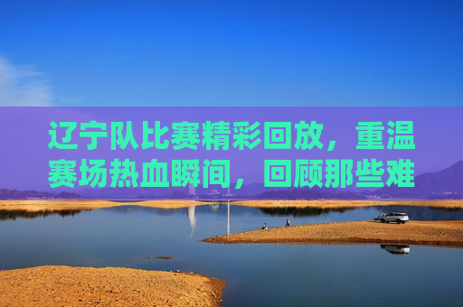 辽宁队比赛精彩回放,重温赛场热血瞬间,回顾那些难忘的胜利时刻,辽宁队热血回放,重温赛场胜利瞬间