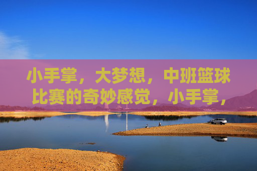 小手掌,大梦想,中班篮球比赛的奇妙感觉,小手掌,大梦想,中班篮球比赛的奇妙感觉