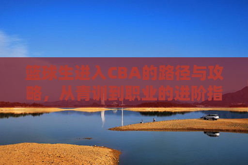 篮球生进入CBA的路径与攻略,从青训到职业的进阶指南,篮球生进入CBA,从青训到职业的路径与攻略