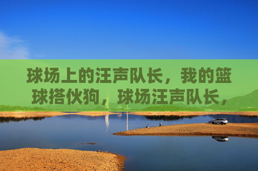 球场上的汪声队长,我的篮球搭伙狗,球场汪声队长,我的篮球搭伙狗