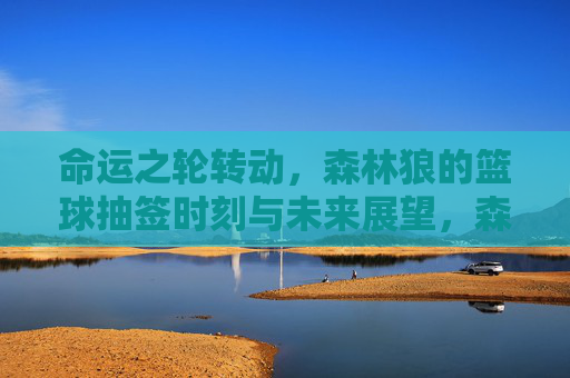 命运之轮转动，森林狼的篮球抽签时刻与未来展望，森林狼抽签时刻，命运转动与未来展望