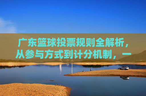 广东篮球投票规则全解析，从参与方式到计分机制，一文读懂，广东篮球投票规则全解析，一文读懂参与方式与计分机制