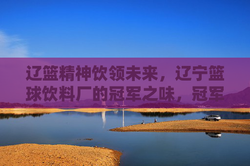 辽篮精神饮领未来,辽宁篮球饮料厂的冠军之味,冠军之味,辽篮精神领航未来