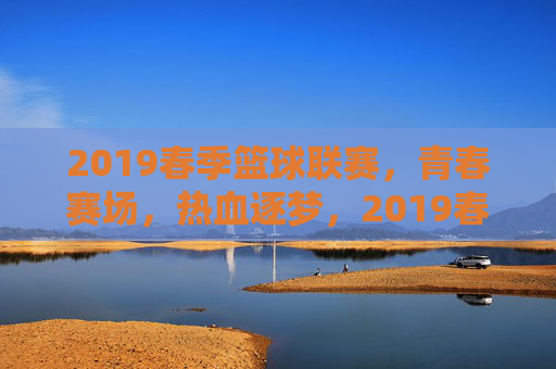 2019春季篮球联赛，青春赛场，热血逐梦，2019春季篮球联赛，青春赛场热血逐梦