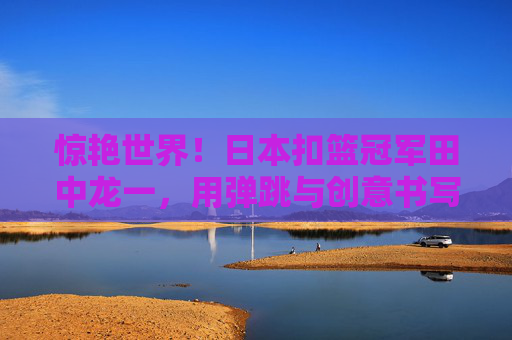 惊艳世界！日本扣篮冠军田中龙一，用弹跳与创意书写亚洲篮球新篇，田中龙一，弹跳创意书写亚洲篮球新篇
