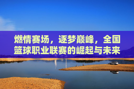 燃情赛场,逐梦巅峰,全国篮球职业联赛的崛起与未来,燃情赛场逐梦巅峰,全国篮球职业联赛的崛起与未来