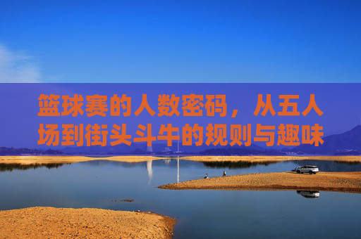 篮球赛的人数密码,从五人场到街头斗牛的规则与趣味,篮球人数密码,从五人场到街头斗牛的规则与趣味