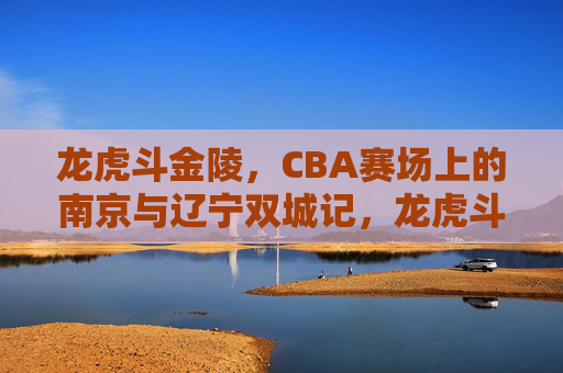 龙虎斗金陵，CBA赛场上的南京与辽宁双城记，龙虎斗金陵，CBA南京辽宁双城对决