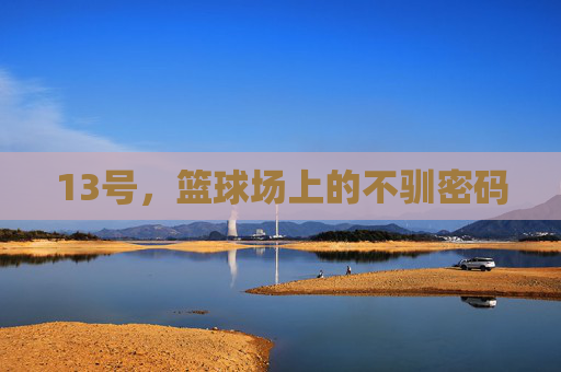 13号,篮球场上的不驯密码