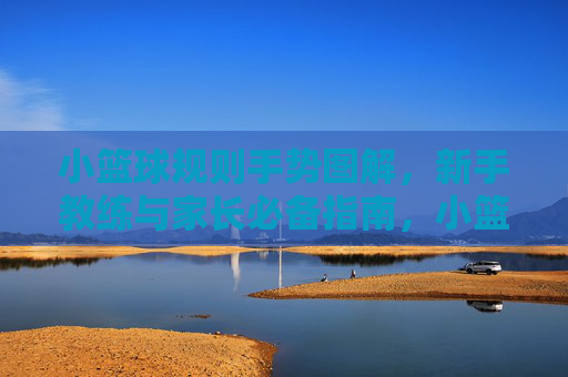 小篮球规则手势图解,新手教练与家长必备指南,小篮球规则手势图解,新手教练与家长必备指南