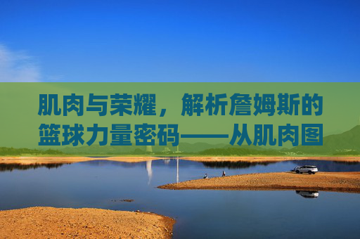 肌肉与荣耀,解析詹姆斯的篮球力量密码——从肌肉图看皇帝的统治力,肌肉与荣耀,解码詹姆斯的统治力密码