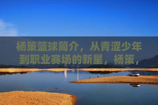 杨策篮球简介，从青涩少年到职业赛场的新星，杨策，从青涩少年到职业篮坛新星