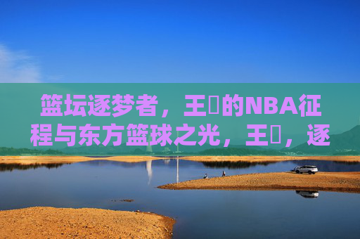 篮坛逐梦者,王豰的NBA征程与东方篮球之光,王豰,逐梦NBA的东方篮球之光