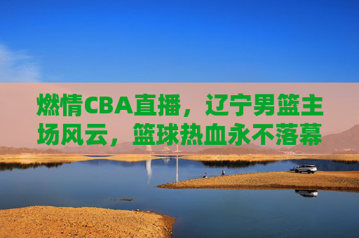 燃情CBA直播,辽宁男篮主场风云,篮球热血永不落幕,辽宁男篮主场燃情,CBA直播热血永燃