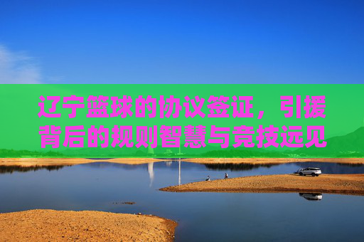 辽宁篮球的协议签证,引援背后的规则智慧与竞技远见,辽宁篮球协议签证引援,规则智慧与竞技远见