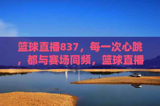 篮球直播837，每一次心跳，都与赛场同频，篮球直播837，心跳与赛场同频