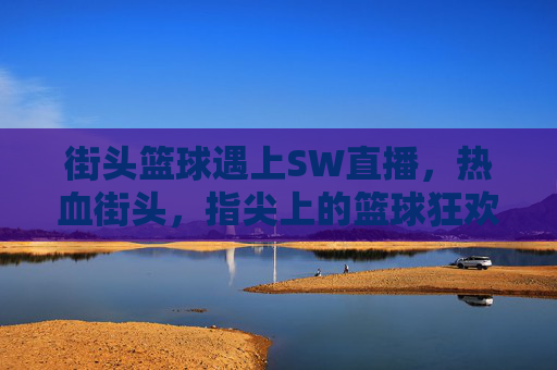 街头篮球遇上SW直播,热血街头,指尖上的篮球狂欢,街头篮球遇上SW直播,热血街头,指尖狂欢