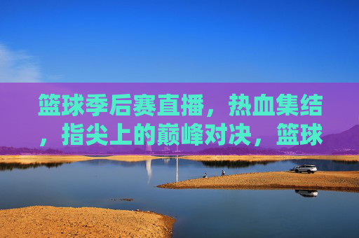 篮球季后赛直播，热血集结，指尖上的巅峰对决，篮球季后赛直播，指尖上的热血巅峰对决