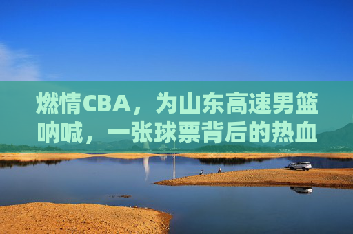 燃情CBA,为山东高速男篮呐喊,一张球票背后的热血与期待,燃情CBA,山东高速男篮,一张球票的热血与期待