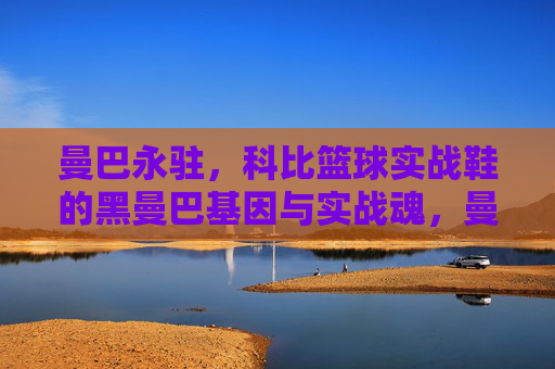 曼巴永驻，科比篮球实战鞋的黑曼巴基因与实战魂，曼巴永驻，科比实战鞋的黑曼巴基因与实战魂