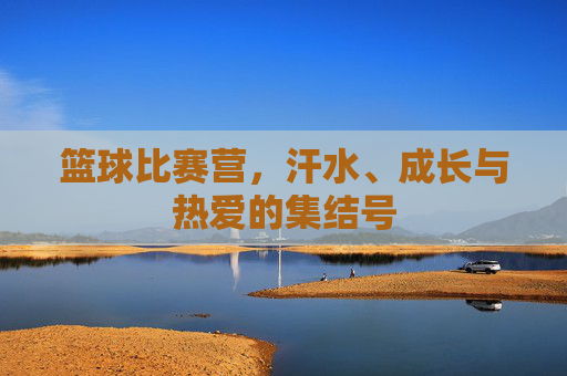 篮球比赛营，汗水、成长与热爱的集结号