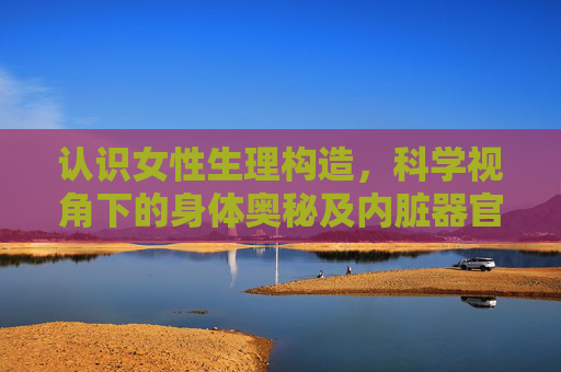 认识女性生理构造,科学视角下的身体奥秘及内脏器官位置构造图标详解