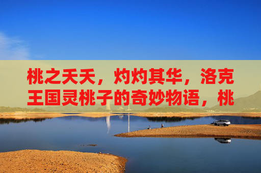 桃之夭夭,灼灼其华,洛克王国灵桃子的奇妙物语,桃夭灼灼,洛克王国灵桃子的奇妙物语