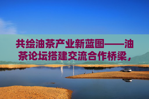 共绘油茶产业新蓝图——油茶论坛搭建交流合作桥梁,共绘油茶产业新蓝图 论坛搭建合作桥梁