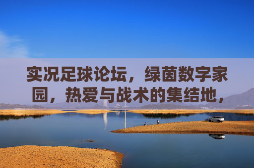 实况足球论坛,绿茵数字家园,热爱与战术的集结地,实况足球,热爱与战术的绿茵集结地
