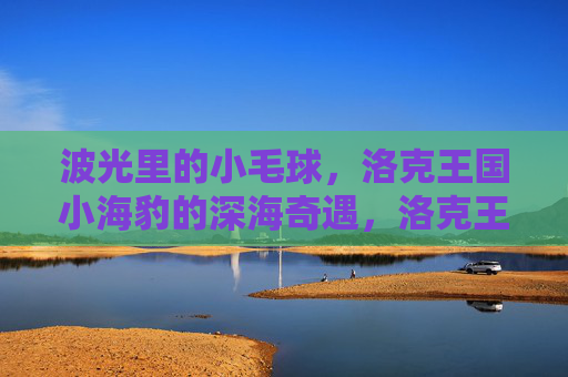波光里的小毛球,洛克王国小海豹的深海奇遇,洛克王国小海豹,波光小毛球的深海奇遇