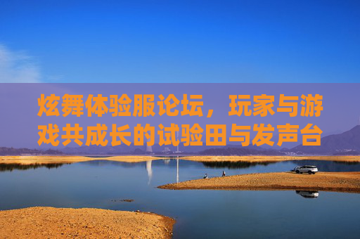 炫舞体验服论坛,玩家与游戏共成长的试验田与发声台,炫舞体验服论坛,玩家与游戏共成长的试验田与发声台