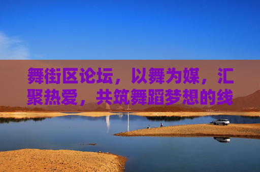 舞街区论坛，以舞为媒，汇聚热爱，共筑舞蹈梦想的线上家园，舞街区论坛，以舞为媒的舞蹈梦想家园